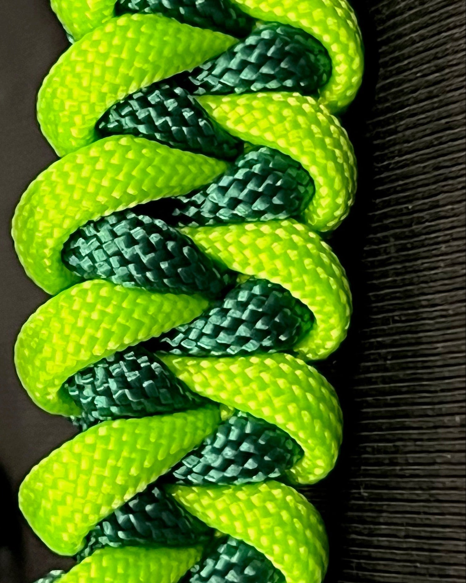 Adult Shark Jaw bracelet