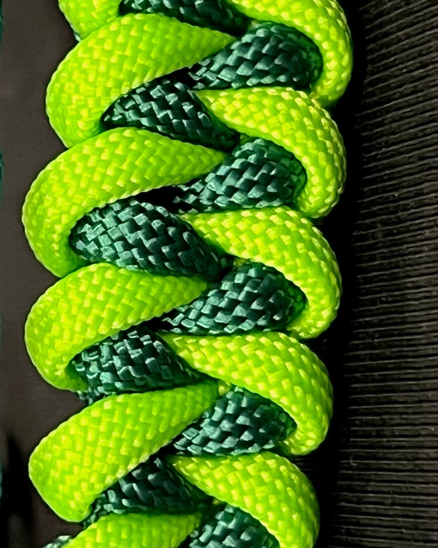 Adult Shark Jaw bracelet